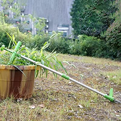 ROOT REMOVER